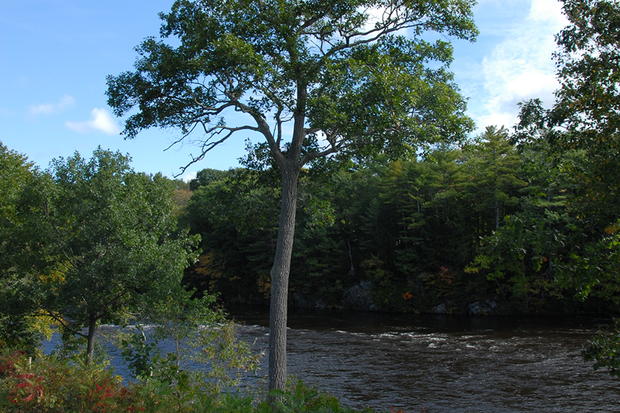 Course Details Salmon Falls Country Club