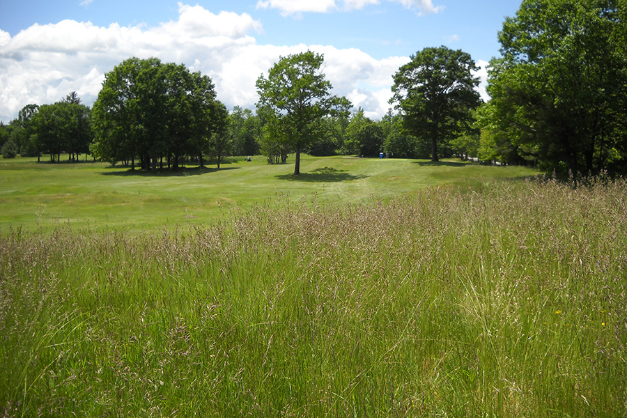 Course Details Salmon Falls Country Club